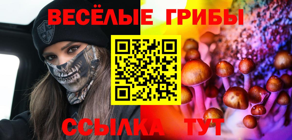 Галлюциногенные грибы мицелий  Галлюциногенные грибы ЛСД  Аксай  Вход с VPN 