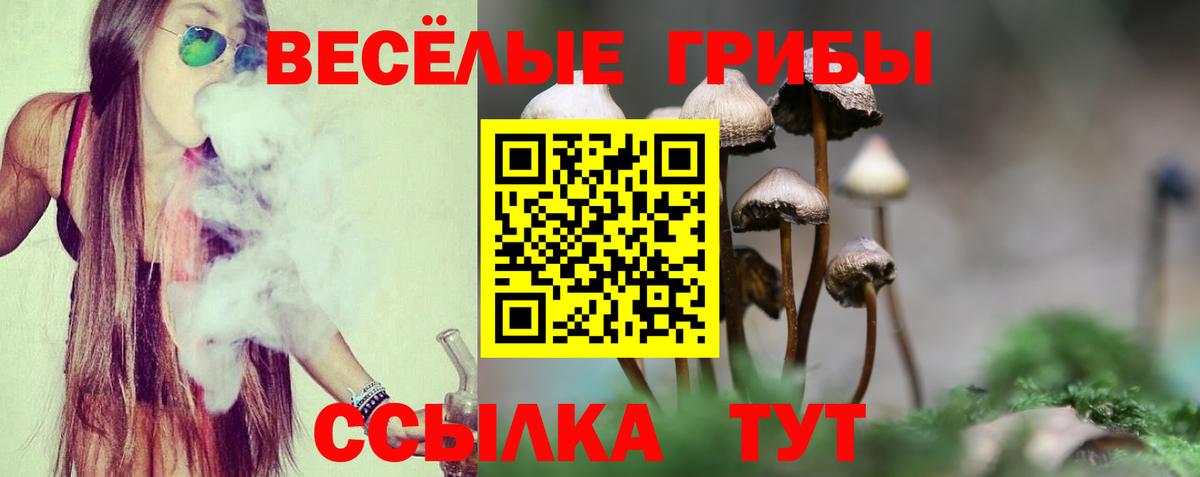Галлюциногенные грибы мухоморы Аксай